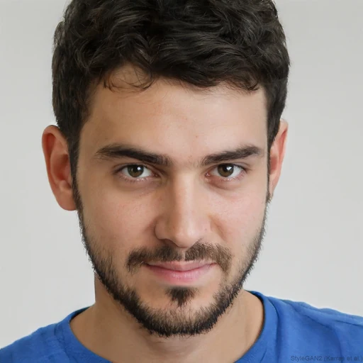 Fabien V.
