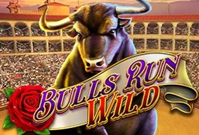 Bulls Run Wild